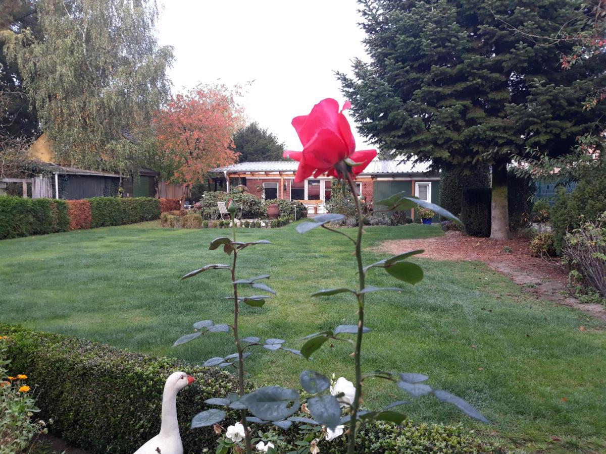 Villa Haus Birkenheim Hatten Exterior foto